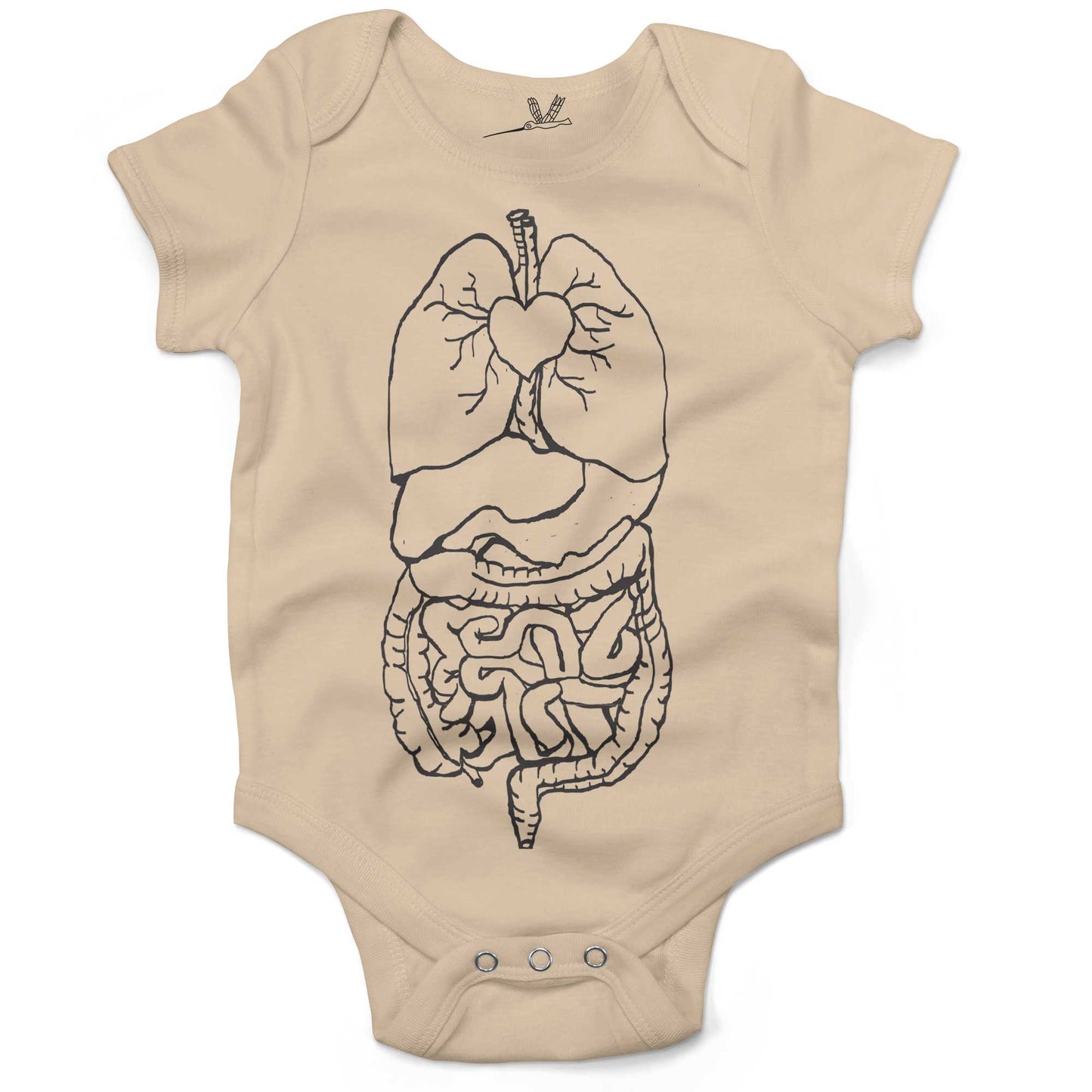 Digestive System Infant Bodysuit-Organic Natural-3-6 months