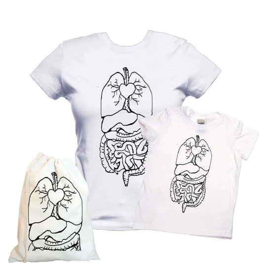 Digestive System Gift Set-