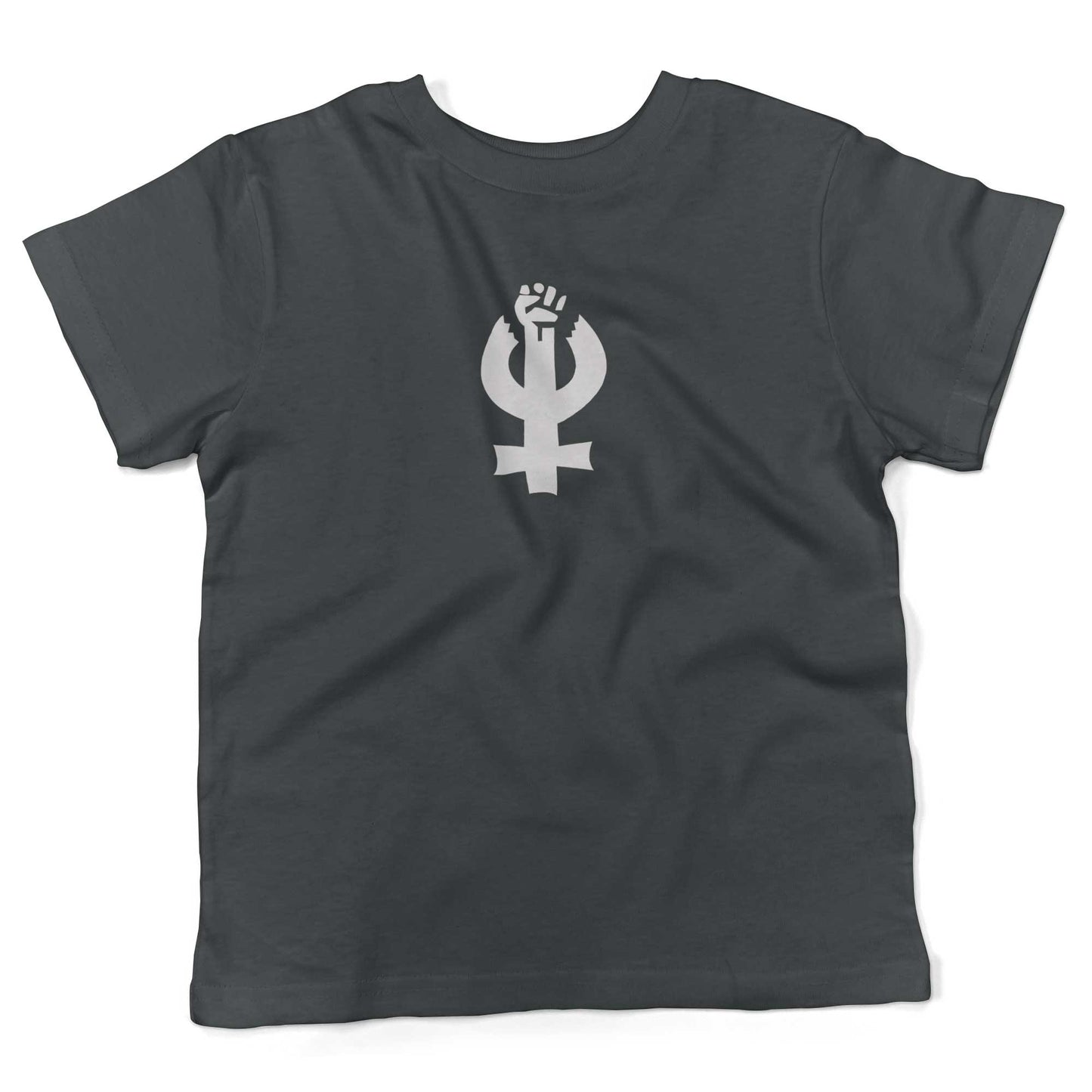 Feminist Toddler Shirt-Asphalt-2T