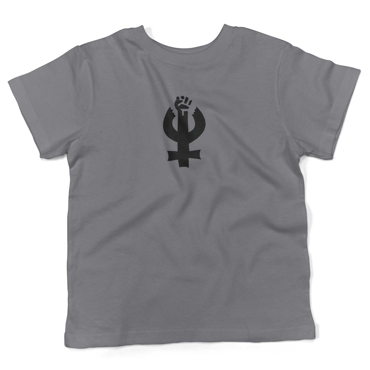 Feminist Toddler Shirt-Slate-2T