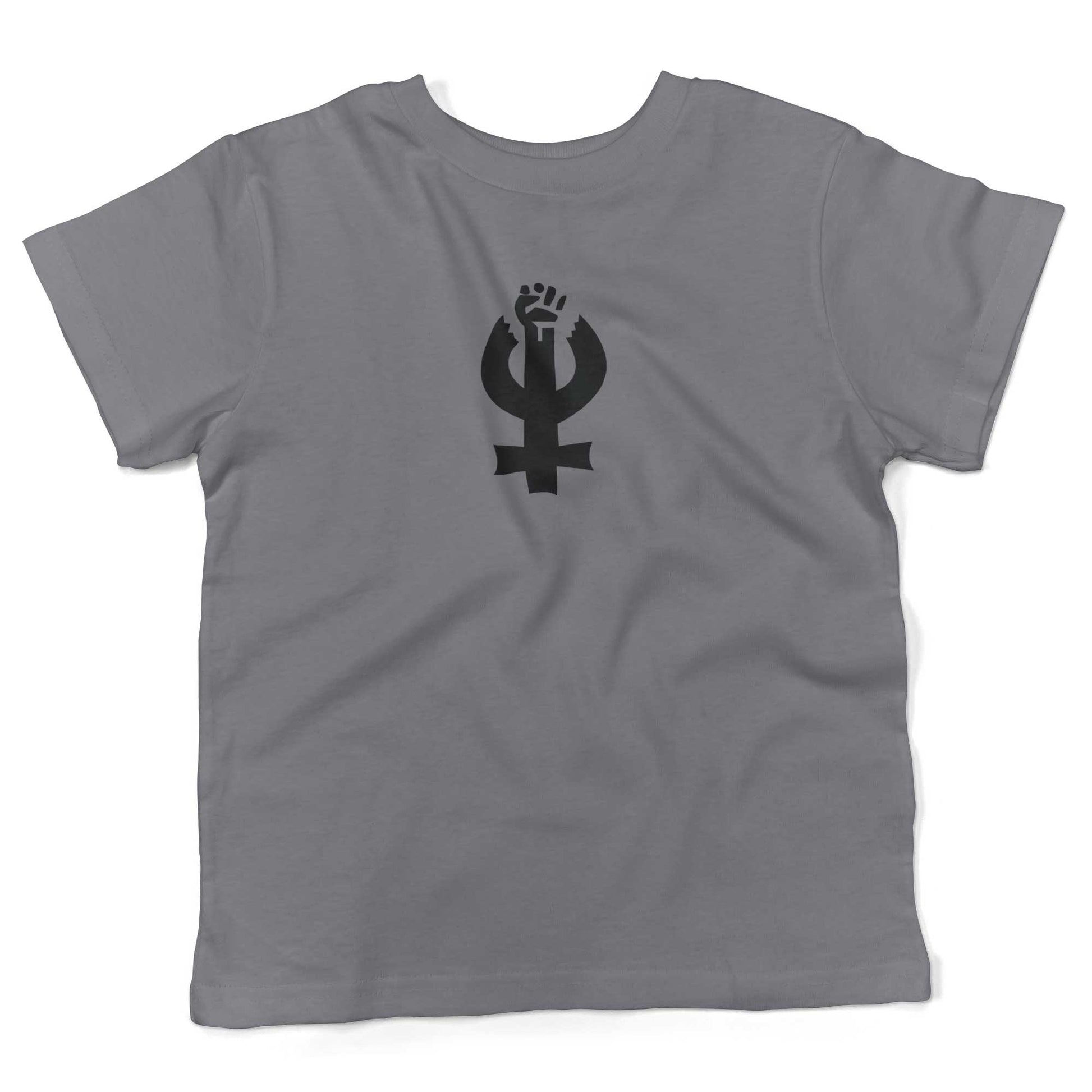 Feminist Toddler Shirt-Slate-2T