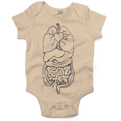 Digestive System Infant Bodysuit-Organic Natural-3-6 months