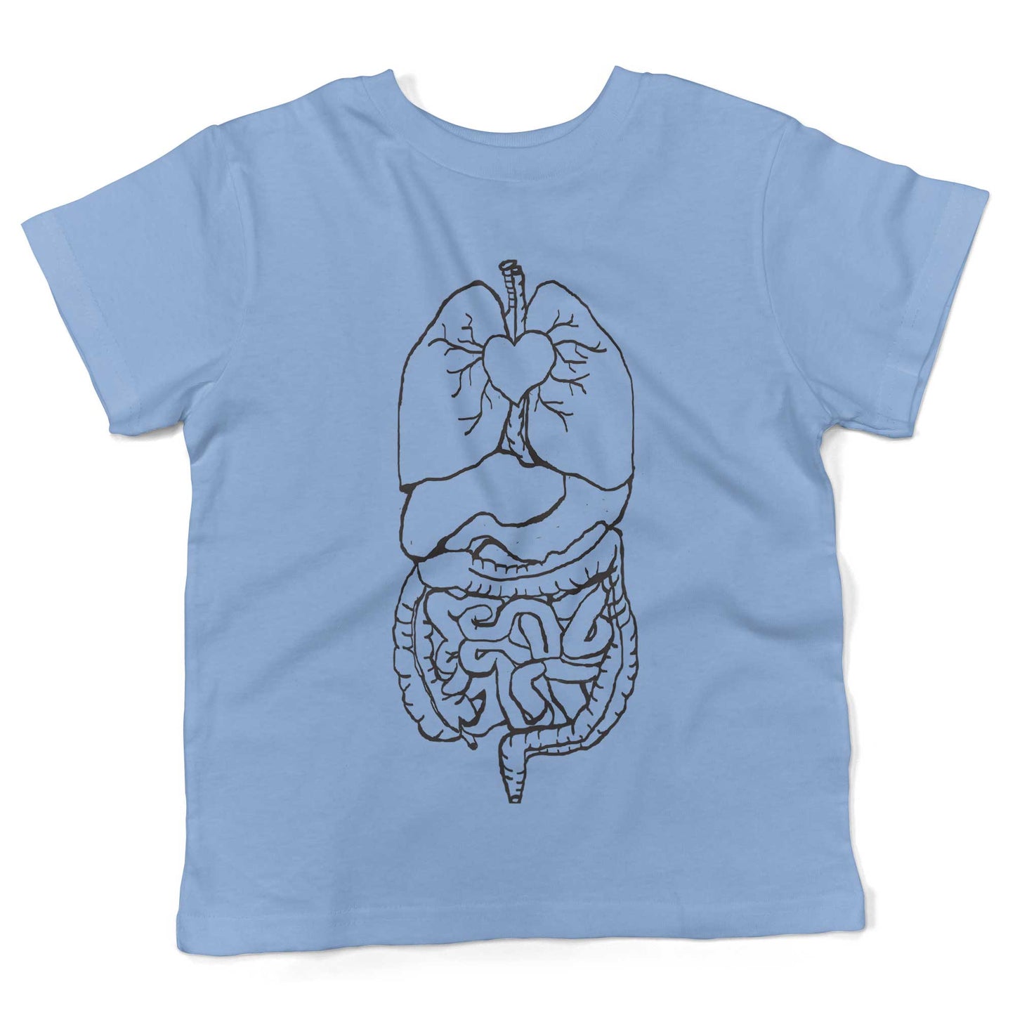 Digestive System Toddler Shirt-Organic Baby Blue-2T