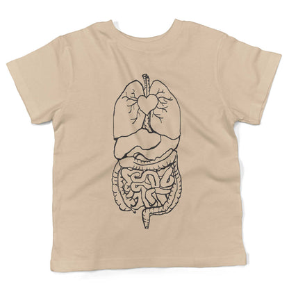 Digestive System Toddler Shirt-Organic Natural-2T