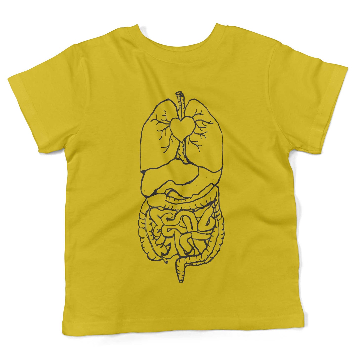 Digestive System Toddler Shirt-