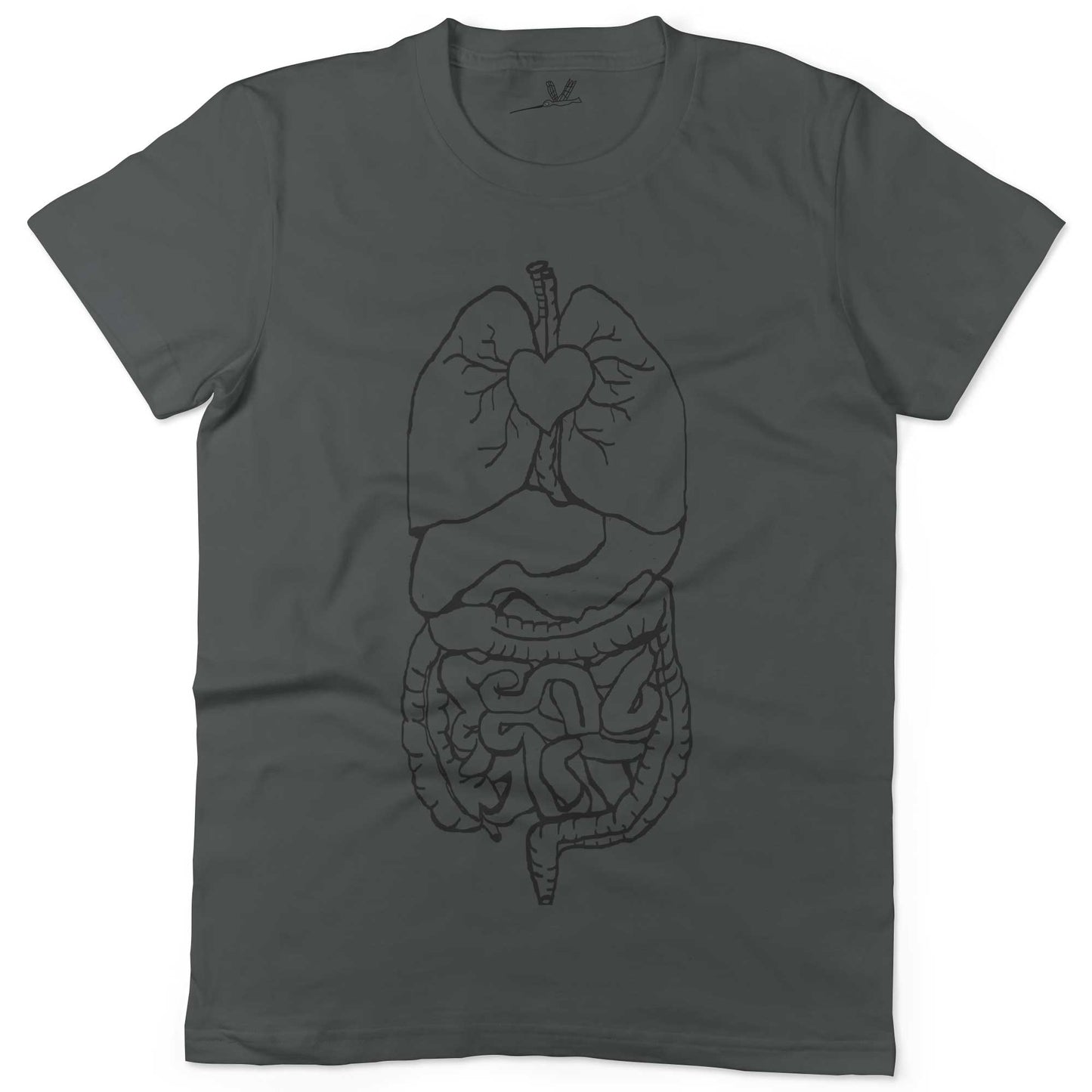 Digestive System Unisex Or Women's Cotton T-shirt-Asphalt-Woman