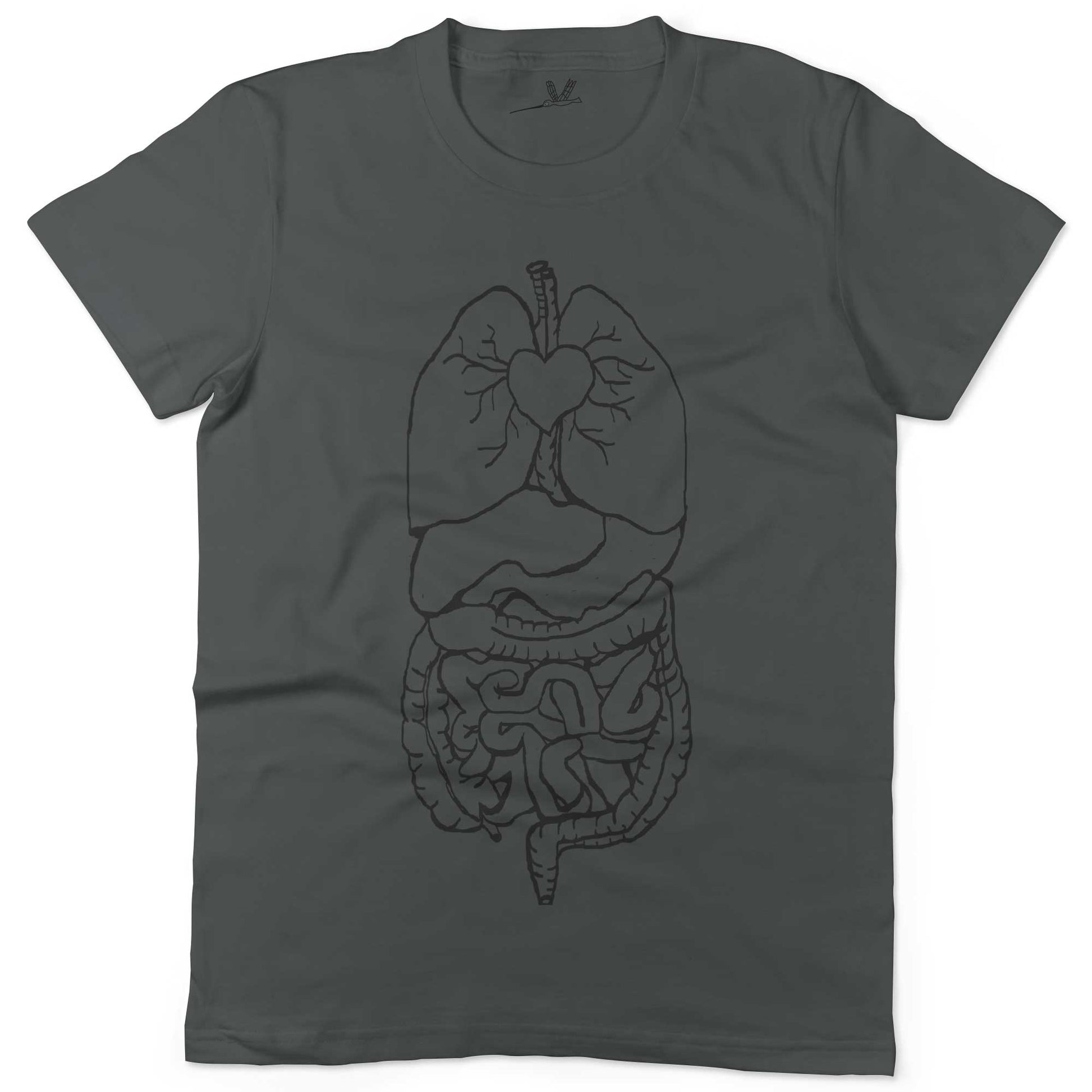 t shirt digestive system