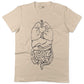 Digestive System Unisex Or Women's Cotton T-shirt-Organic Natural-Woman