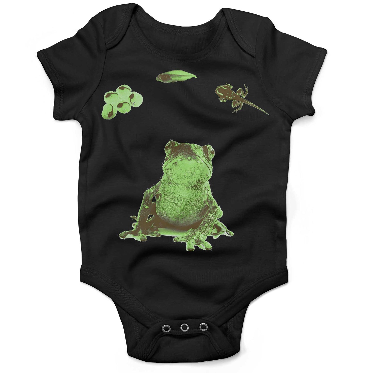 Frog Lifecycle Infant Bodysuit or Raglan Baby Tee-Organic Black-3-6 months