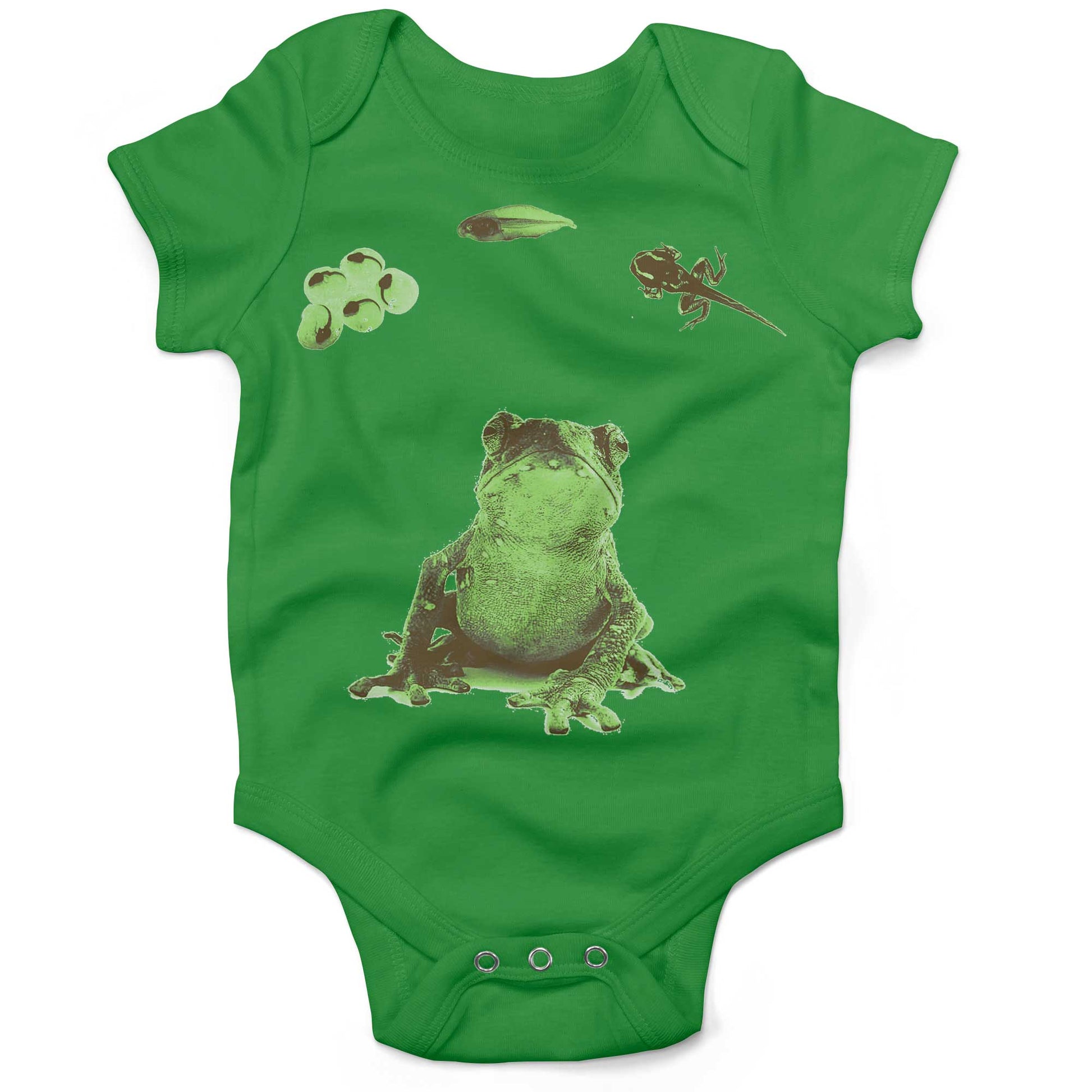 Frog Lifecycle Infant Bodysuit or Raglan Baby Tee-Grass Green-3-6 months