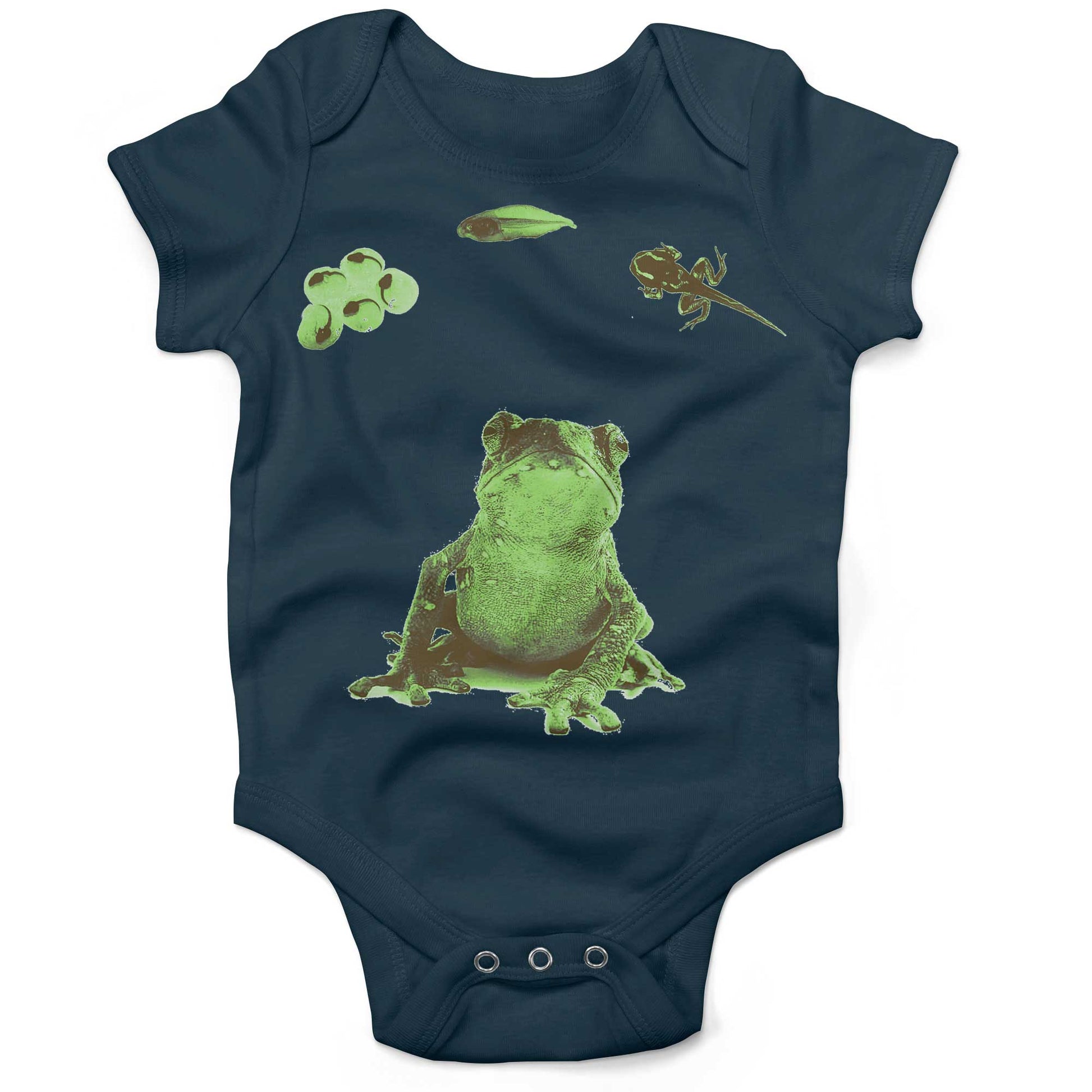 Frog Lifecycle Infant Bodysuit or Raglan Baby Tee-Organic Pacific Blue-3-6 months