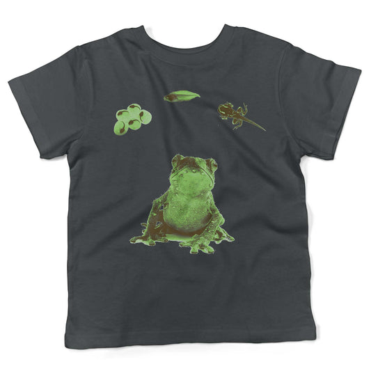 Frog Lifecycle Toddler Shirt-Asphalt-2T
