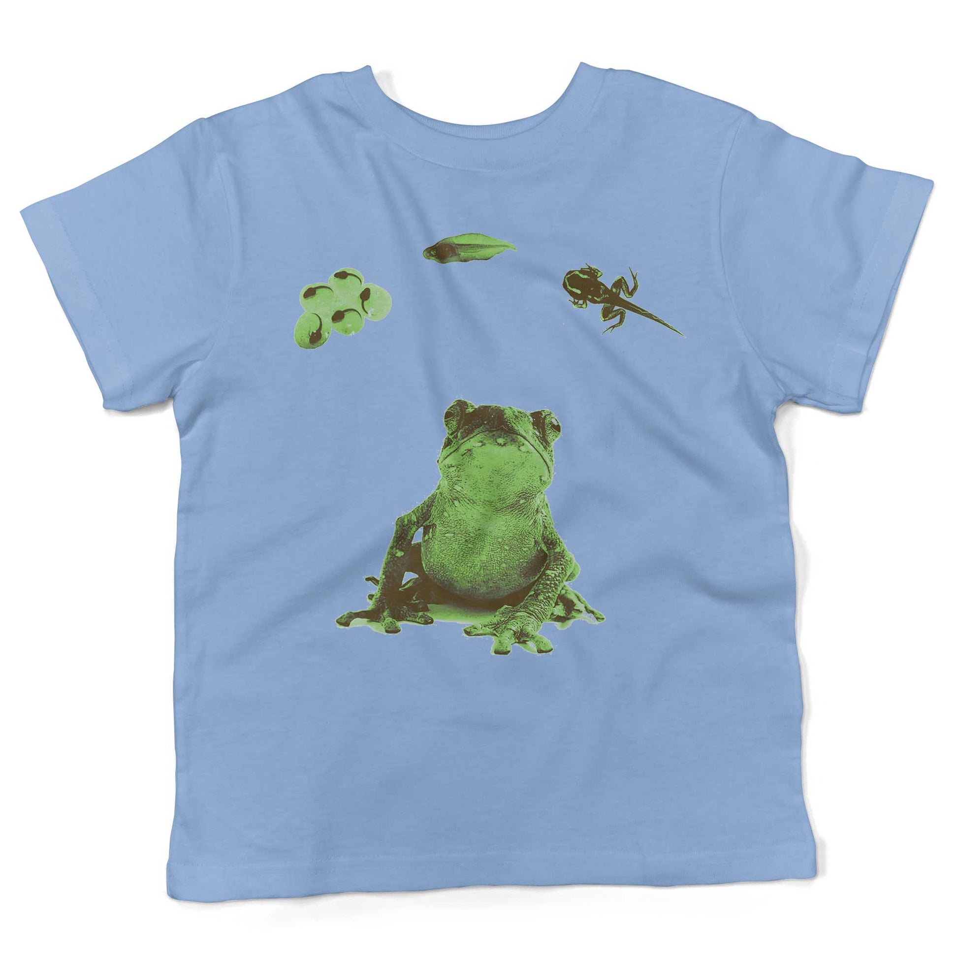 Frog Lifecycle Toddler Shirt-Organic Baby Blue-2T