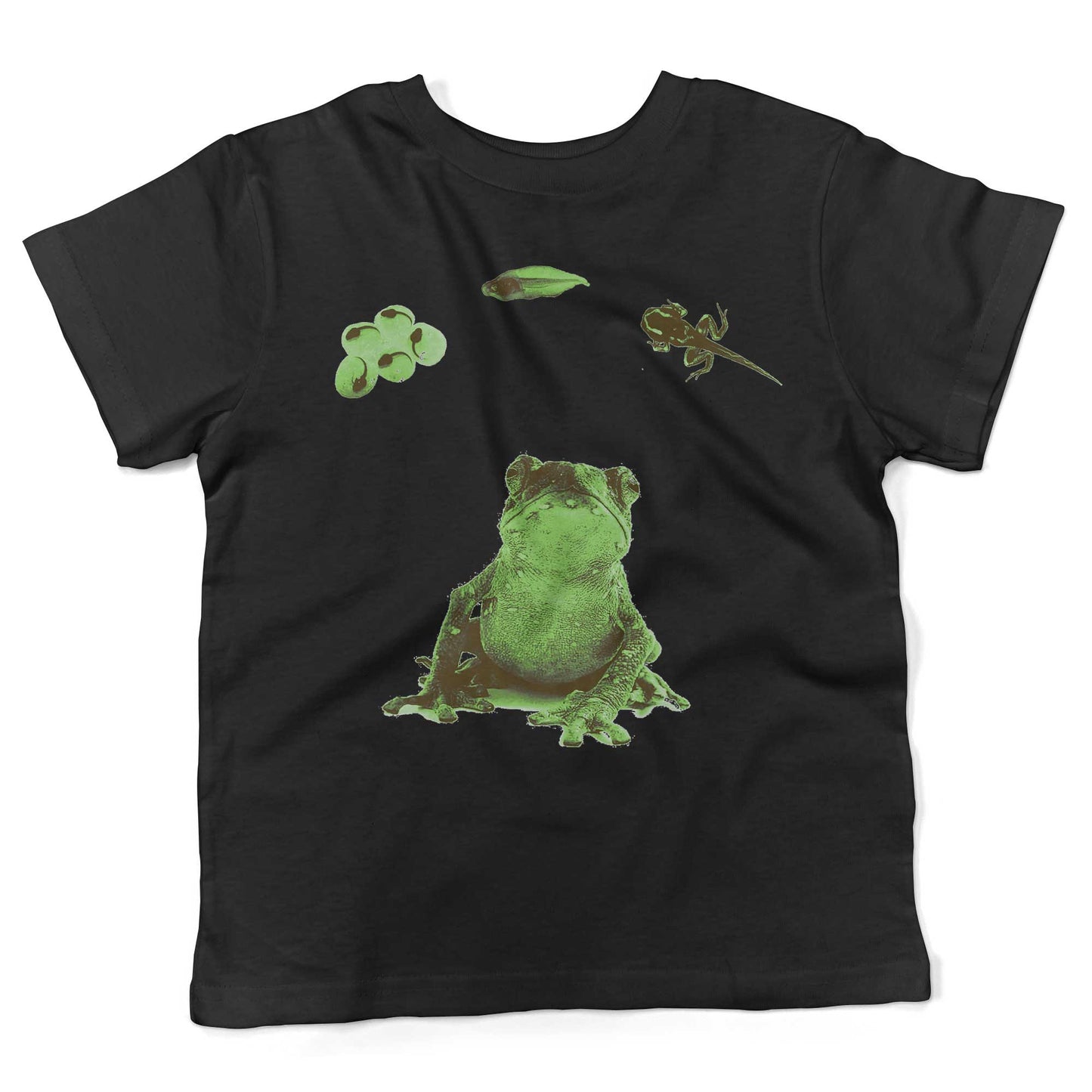 Frog Lifecycle Toddler Shirt-Organic Black-2T