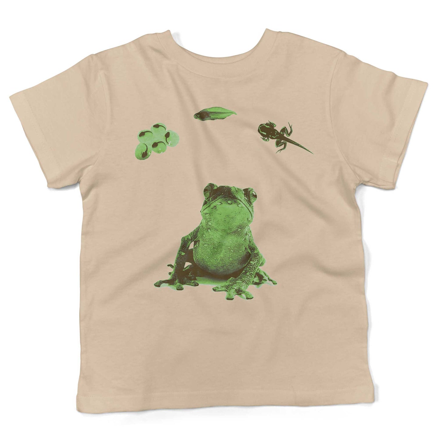 Frog Lifecycle Toddler Shirt-Organic Natural-2T