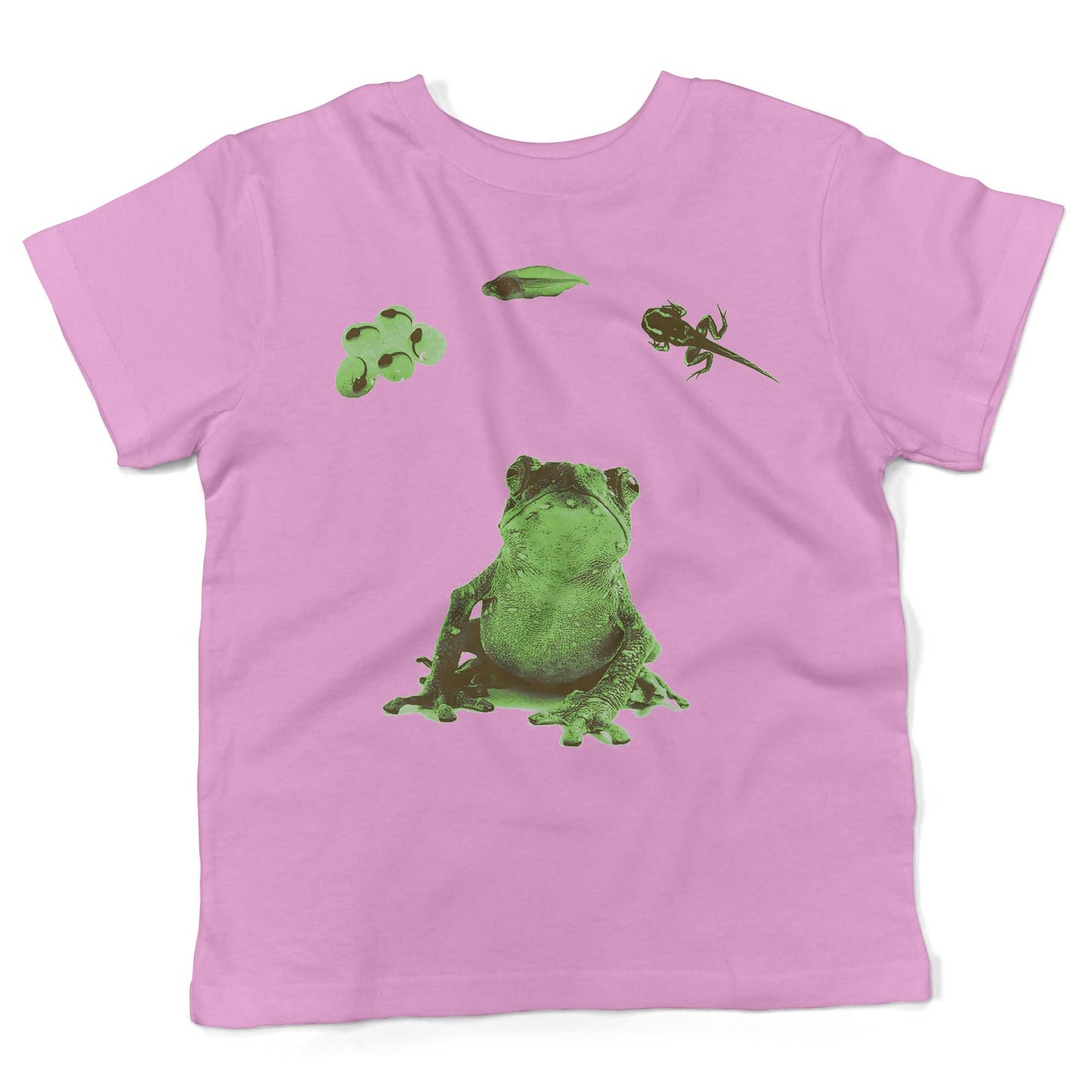 Frog Lifecycle Toddler Shirt-Organic Pink-2T
