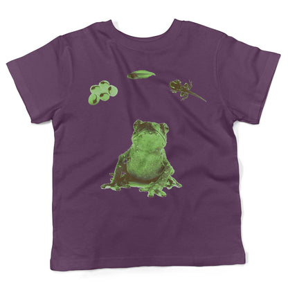 Frog Lifecycle Toddler Shirt-Organic Purple-2T