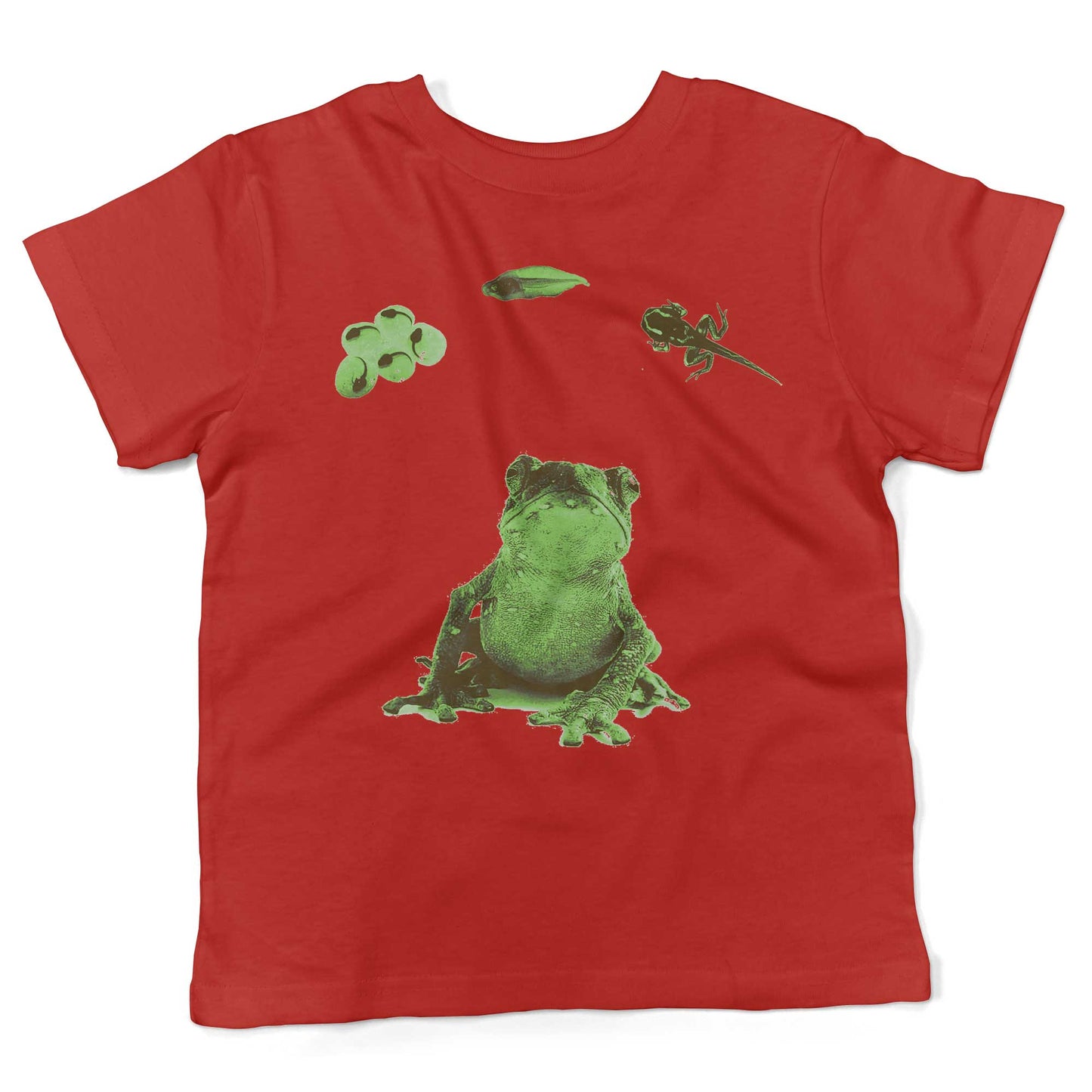 Frog Lifecycle Toddler Shirt-Red-2T