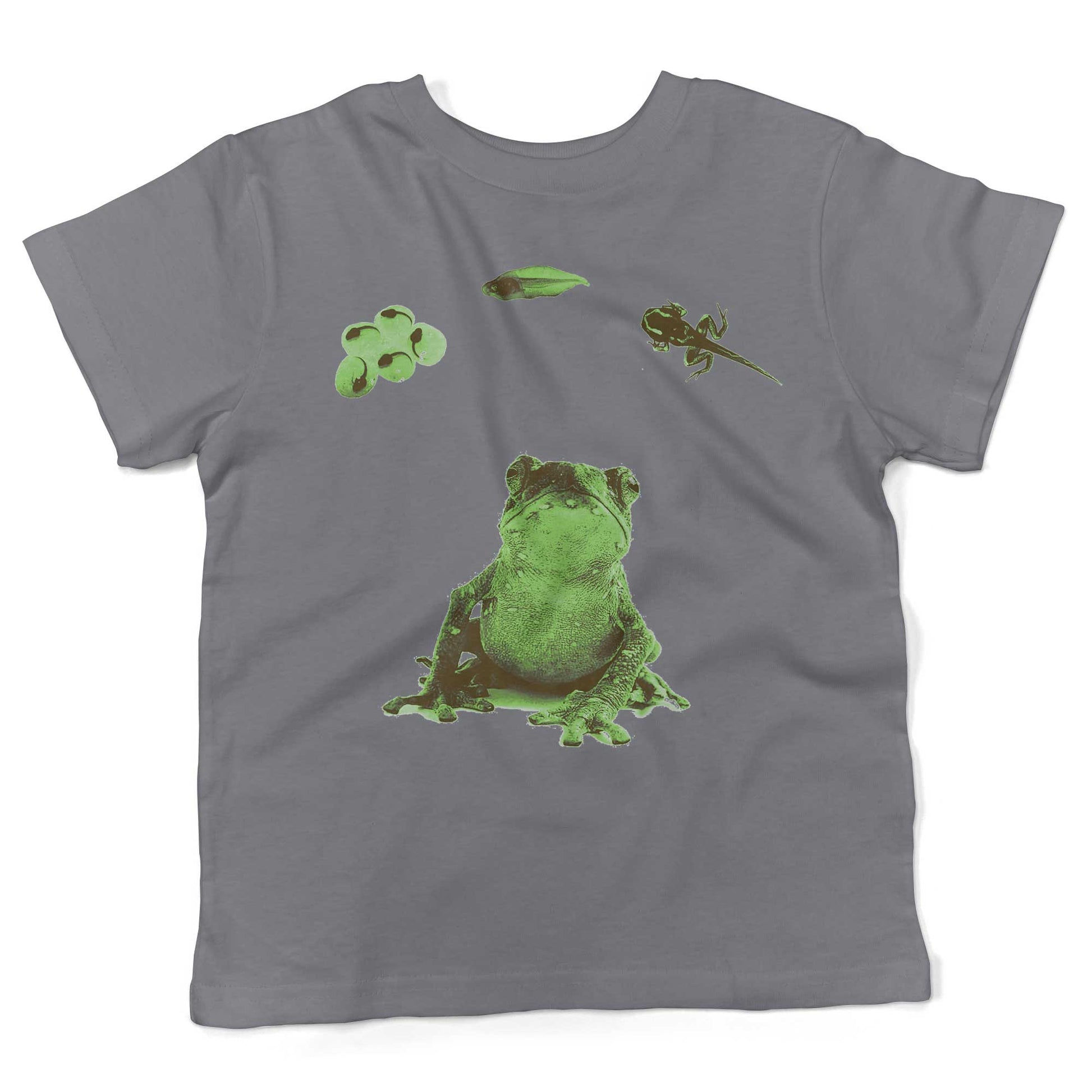 Frog Lifecycle Toddler Shirt-Slate-2T