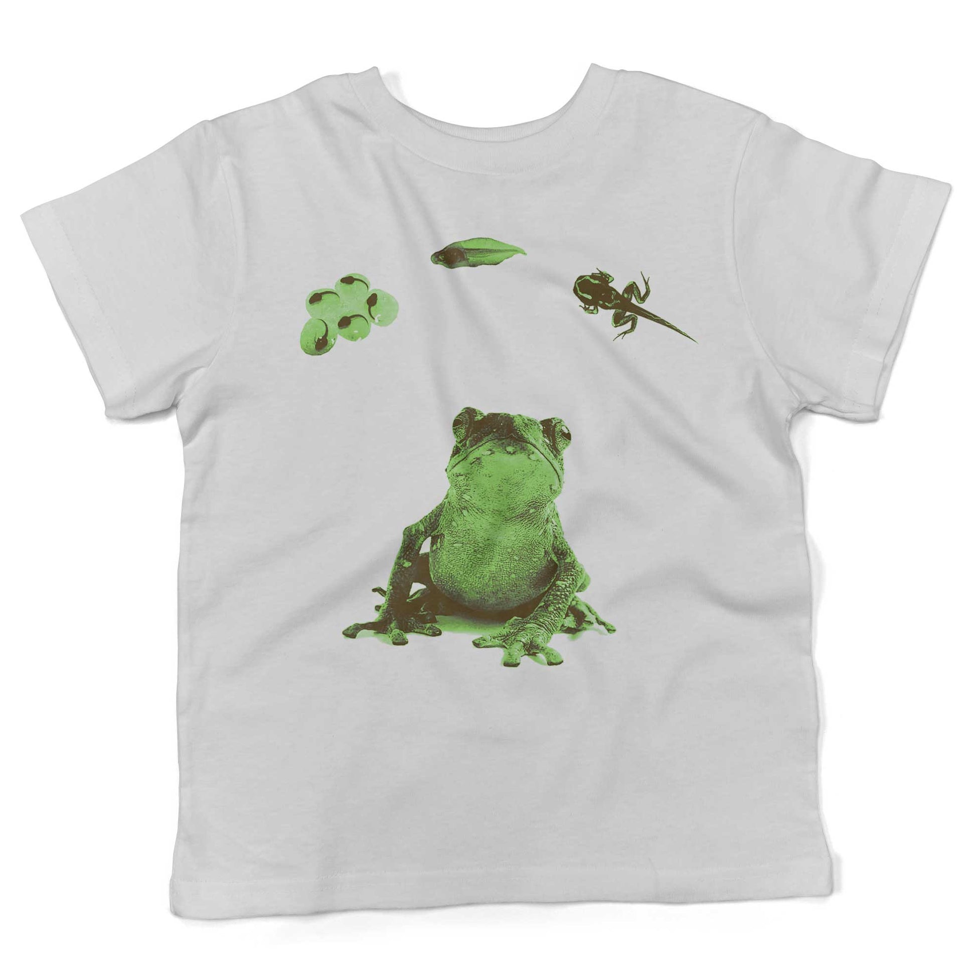 Frog Lifecycle Toddler Shirt-White-2T