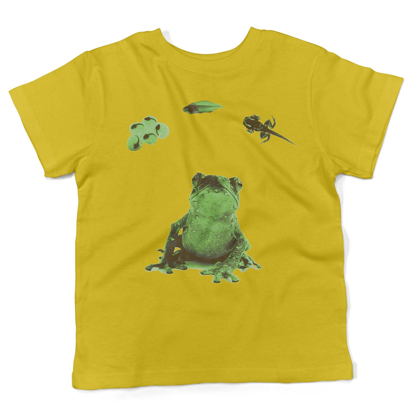 Frog Lifecycle Toddler Shirt-Sunshine Yellow-2T