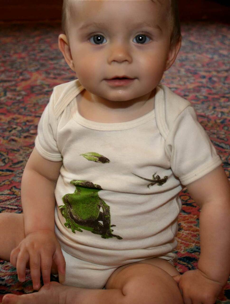 Frog Lifecycle Infant Bodysuit or Raglan Baby Tee-